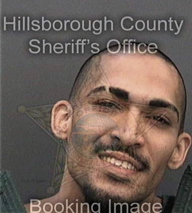 Brett Merrill - Hillsborough County, FL 