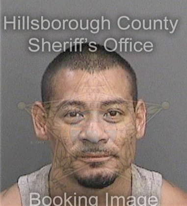 Maximiliano Ramosmontesdeoca, - Hillsborough County, FL 