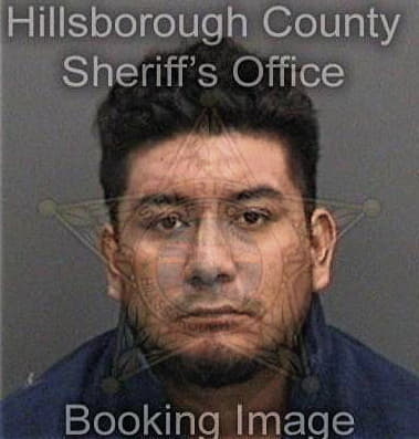 Miguel Santizhernandez, - Hillsborough County, FL 