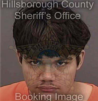 Michael Slysz, - Hillsborough County, FL 