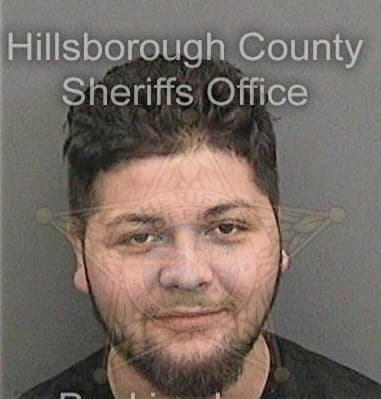 Mahmoud Suleiman, - Hillsborough County, FL 