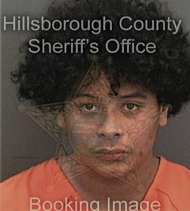 Francisco Gomez-Perez, - Hillsborough County, FL 