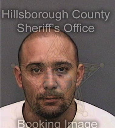 Steven Harangi, - Hillsborough County, FL 