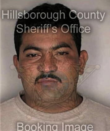 Ernesto Leyva, - Hillsborough County, FL 