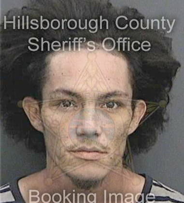 Cristian Quiroz, - Hillsborough County, FL 