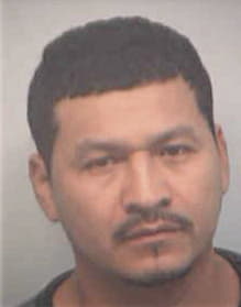 Rene Raudales-Garay, - Fulton County, GA 