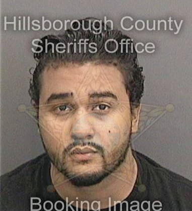 Ottoniel Roblero, - Hillsborough County, FL 