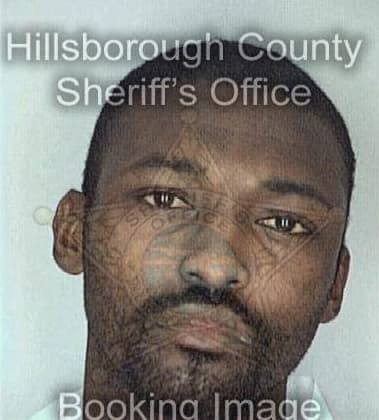 Timothy Wilson, - Hillsborough County, FL 