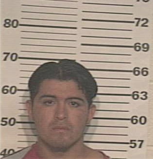 Andres Alaniz, - Hidalgo County, TX 