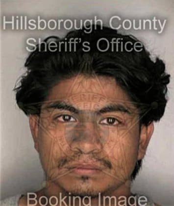 Hector Garcia, - Hillsborough County, FL 