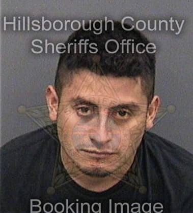 Emedel Hernandez - Hillsborough County, FL 