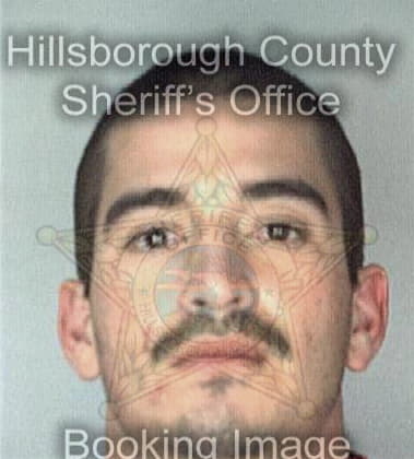 Ronald Jarrell, - Hillsborough County, FL 