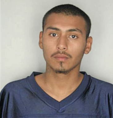 Heraclio Mercadocabral - Hillsborough County, FL 