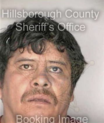 Ronald Mitchell - Hillsborough County, FL 