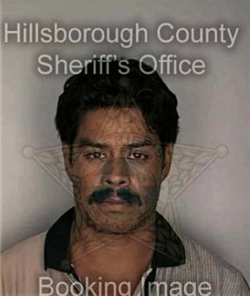 Jesus Oliva, - Hillsborough County, FL 