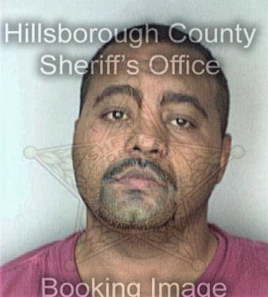 Joshua Saffold, - Hillsborough County, FL 