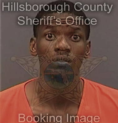 Deandre Williams - Hillsborough County, FL 
