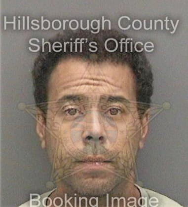 Jeffrey Williams, - Hillsborough County, FL 