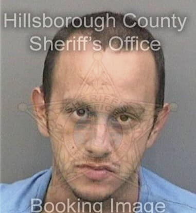 Alexander Alvarez, - Hillsborough County, FL 