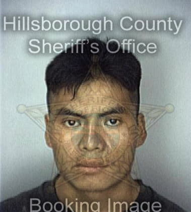 Damien Bellagamba - Hillsborough County, FL 