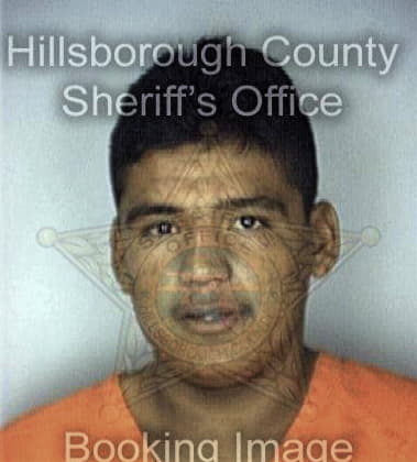 James Braun - Hillsborough County, FL 