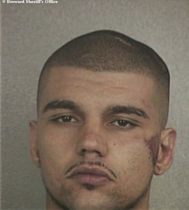 Ariel Molina, - Broward County, FL 