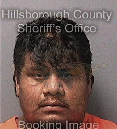 Joseph Muse, - Hillsborough County, FL 