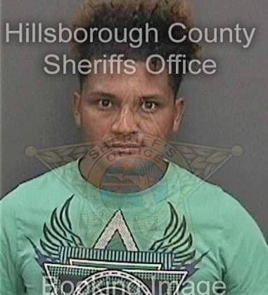 Matthew Smith, - Hillsborough County, FL 