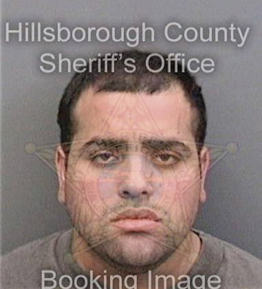 Ronald Westphal, - Hillsborough County, FL 