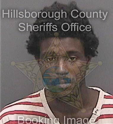 Chase Armstrong, - Hillsborough County, FL 