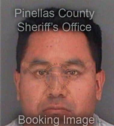 Michael Delgado, - Pinellas County, FL 