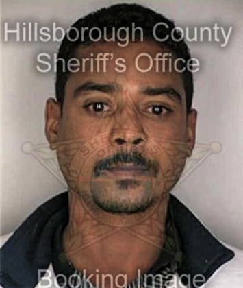 Jeffrey Evans, - Hillsborough County, FL 