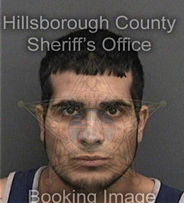 Hendrich Friasduarte, - Hillsborough County, FL 