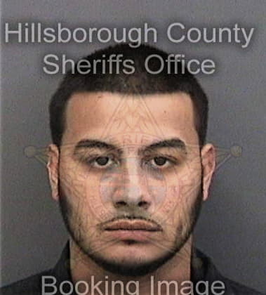 Sean McGinnis - Hillsborough County, FL 