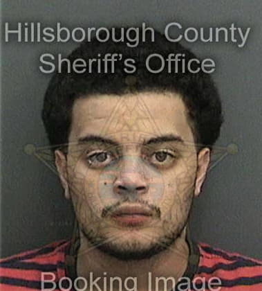 Daniel Perez, - Hillsborough County, FL 