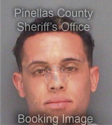 Nathaniel Stone, - Pinellas County, FL 