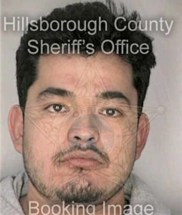 Harry Wickline - Hillsborough County, FL 