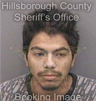 Gustavo Banegas, - Hillsborough County, FL 