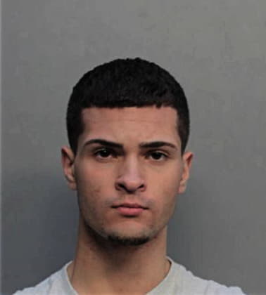 Ariel Faccio, - Dade County, FL 