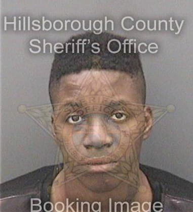 Sychelle Mazion - Hillsborough County, FL 