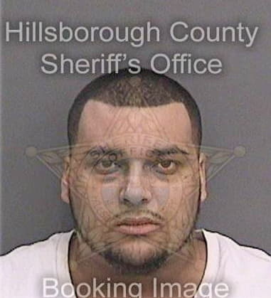 Forrest Meyers - Hillsborough County, FL 
