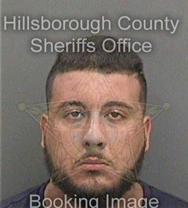 Jose Moralessanchez, - Hillsborough County, FL 