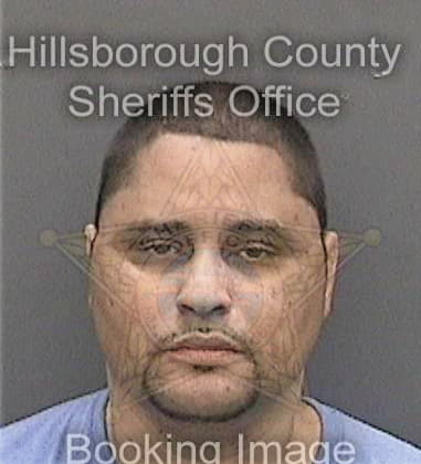 Steven Nissen, - Hillsborough County, FL 