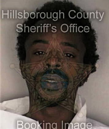 Julius Collie - Hillsborough County, FL 