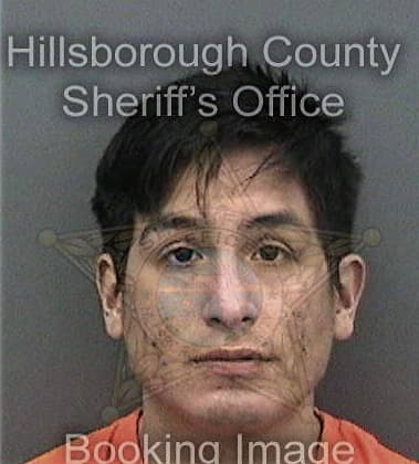 Nicholas Cullen, - Hillsborough County, FL 