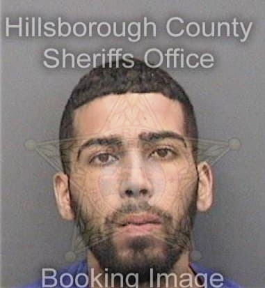 Reynaldo Garcia, - Hillsborough County, FL 