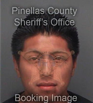 Francisco Gonzalezrecendez, - Pinellas County, FL 