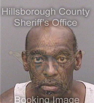 Lamykel Johnson, - Hillsborough County, FL 