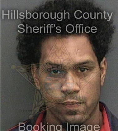 Omar Laguerrerodriguez, - Hillsborough County, FL 