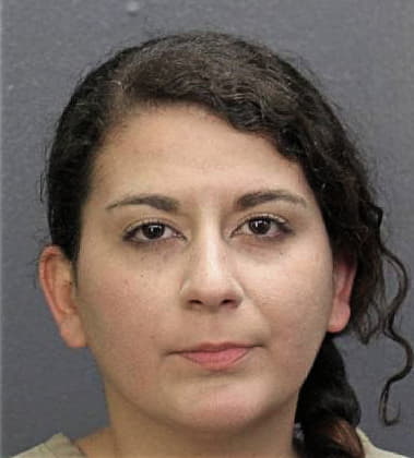 Haziz Lleshi - Broward County, FL 